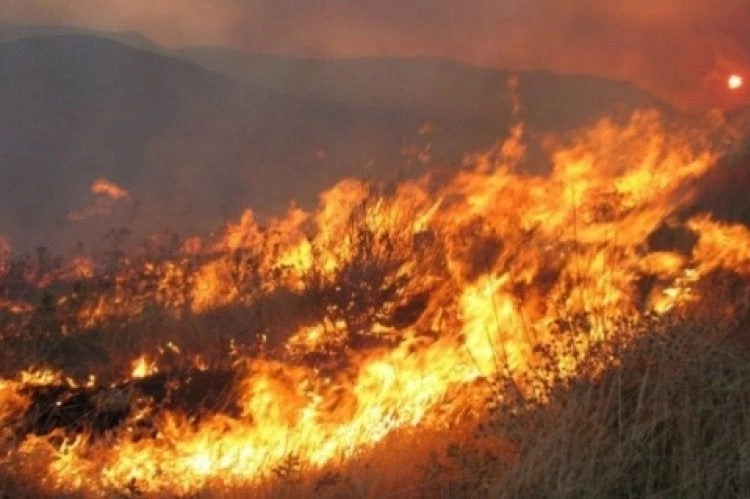 Νέα πυρκαγιά στην Κεφαλονιά -Εκκενώνεται προληπτικά το σχολείο της περιοχής